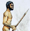  homo erectus 